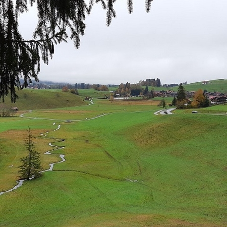 Hundetreffen 2019 im Allgäu (9)
